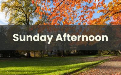 Sunday Afternoon