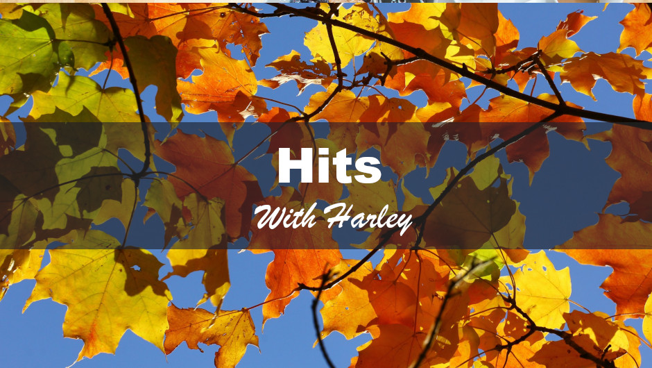 Hits with Harley