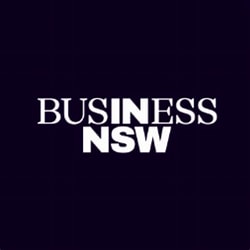 MODEST BUSINESS ASSISTANCE IN A HOUSING FOCUSED BUDGET