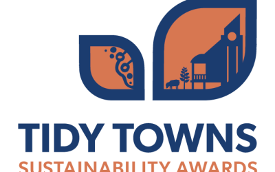 Tidy Towns Awards