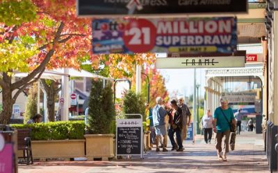 Business NSW New England Training Forum