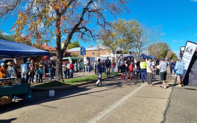Orange Festival Goes Off in Bingara