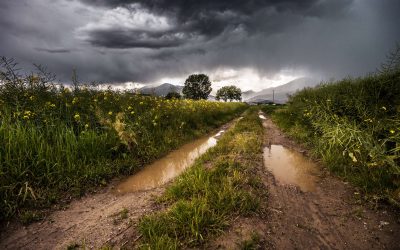 Welcome Rain Hits the Region