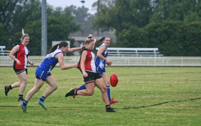 Saints Prepare for Final Home & Away Game of the Season