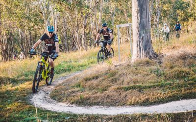 Crown Reserves Improvement Fund grants