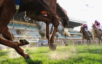 Inverell Races This Weekend