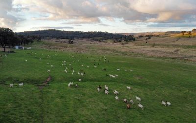 Farmers Gain Tools to Tackle Future Drought Challenges