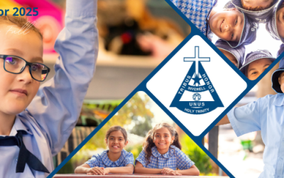 Holy Trinity to Commence Teaching Years 11 and 12