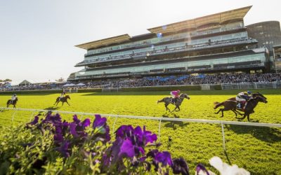Racing News