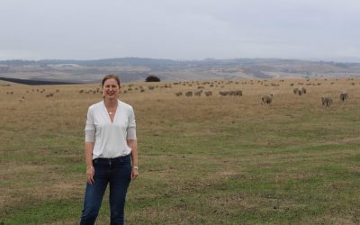 Fresh Start for Farmers on the Table