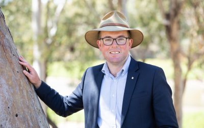 Former MP’s New Role
