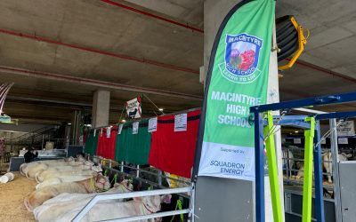 MacIntyre High Students Showcasing at EKKA