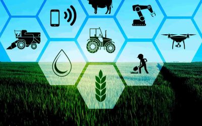 Funding Boost for Agricultural Research