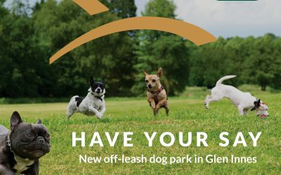 Off-Leash Dog Park Proposed For Glen Innes