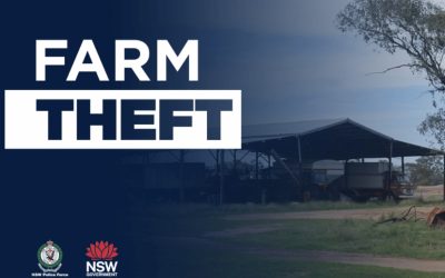 Investigations Into Sheep and Cow Thefts