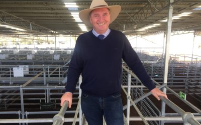 Funding Boost for Regional Saleyards