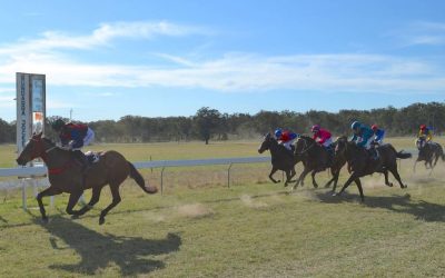 Bundarra Cup Saved