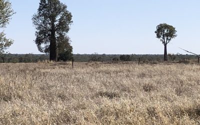 STA FM Rural News | 07-09-2024