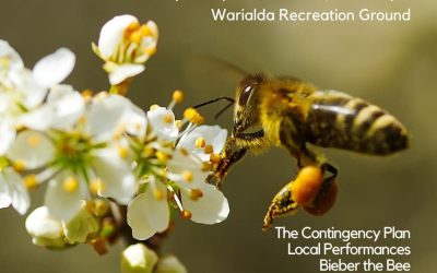Get Ready for the Honey Festival This Weekend