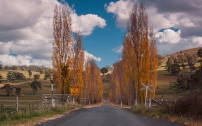 Road Upgrades Pave the Way for Safer Journeys for Glen Innes Motorists