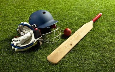 Crickets Finally Kicks Off Finally