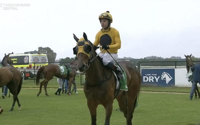 Wilson Scores Win at Tamworth