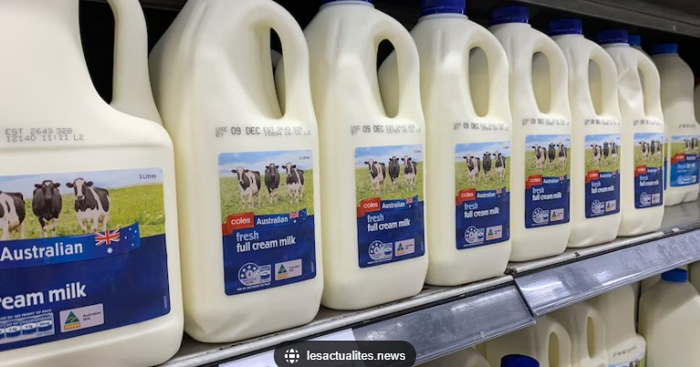 Milk
