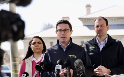 Littleproud Slams Labor’s Compensation on Export Ban