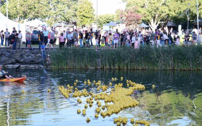 Sapphire City Festival Great Duck Race
