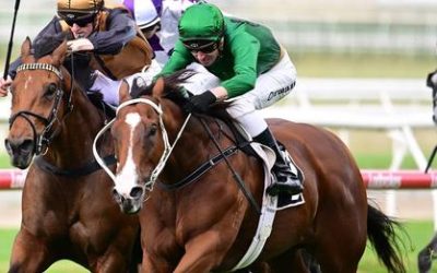 Big Day Ahead Tomorrow for Local Tatts Syndicate