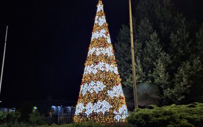 Inverell Christmas Fair 2024