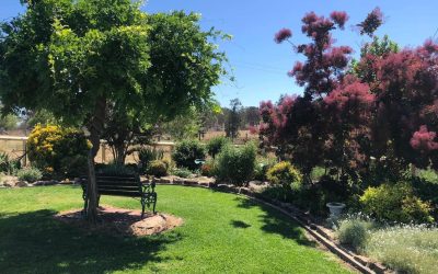 Open Gardens a Success
