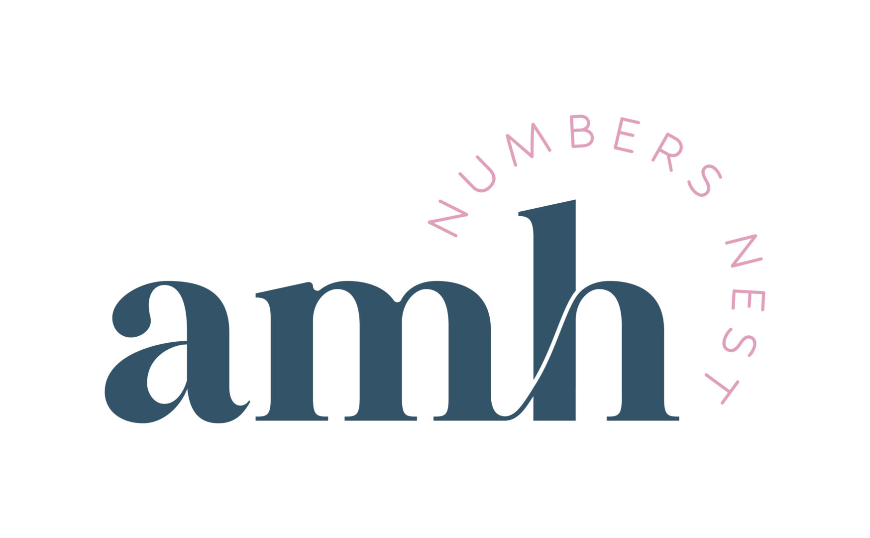 AMH Numbers Nest Logo