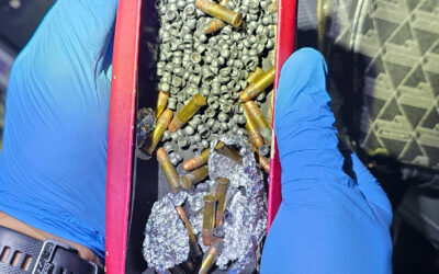 Teen Charged After Loaded Firearm and Ammunition Seized During Motor Vehicle Stop in Narrabri