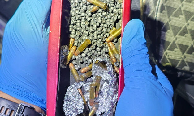Teen Charged After Loaded Firearm and Ammunition Seized During Motor Vehicle Stop in Narrabri