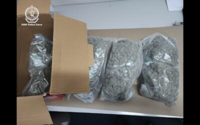 Seventeen People Charged During Operation Soteria Surge in Tamworth