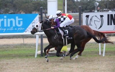 Jockey Club Drops Boxing Day Races
