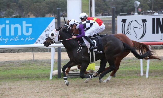 Jockey Club Drops Boxing Day Races