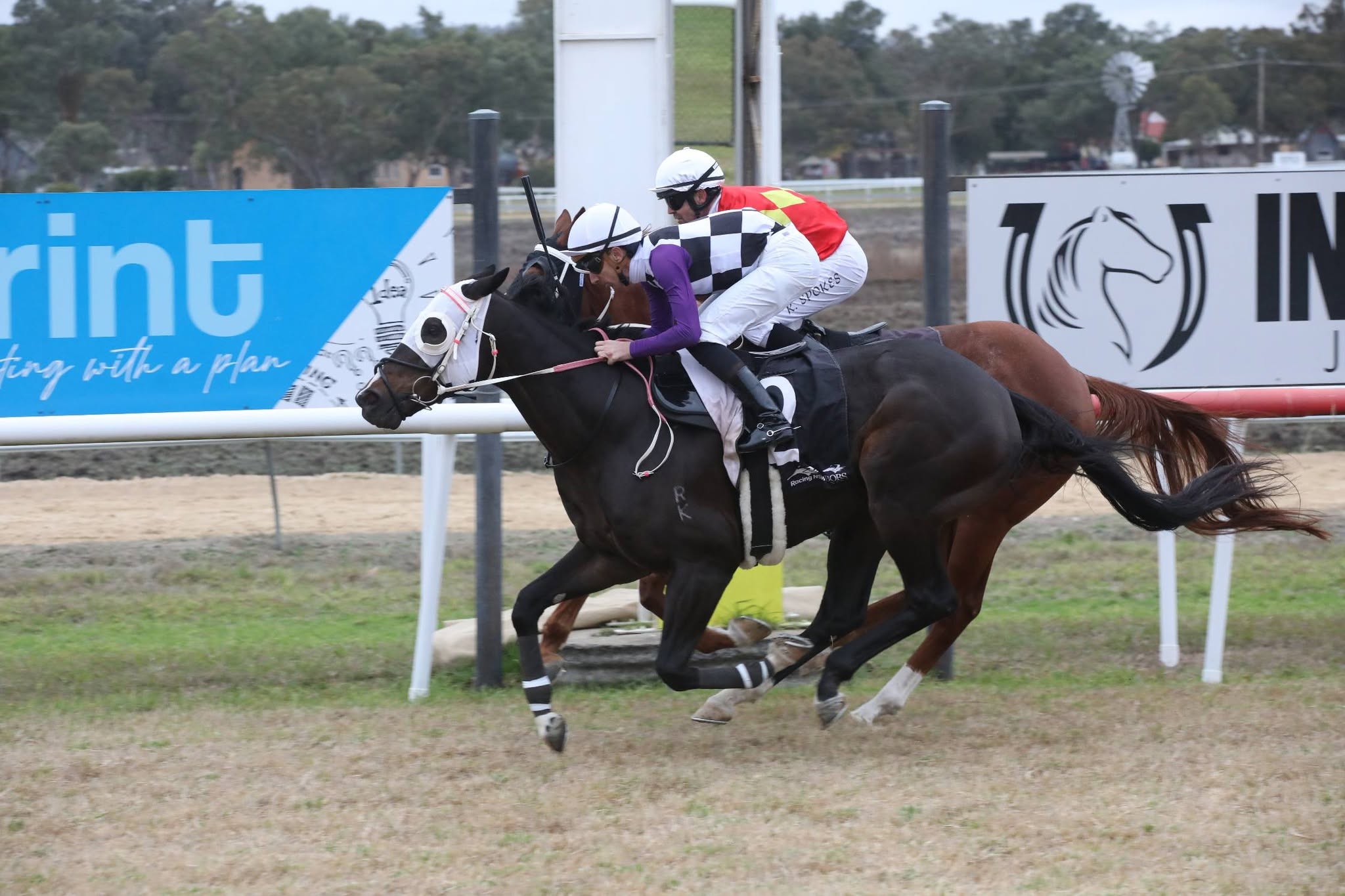 Boxing Day races