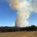 Bushfire Causes Concerns for Local Residents