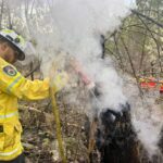 Firefighters Continue Work on Multiple Fires Across the Inverell and Tenterfield Areas