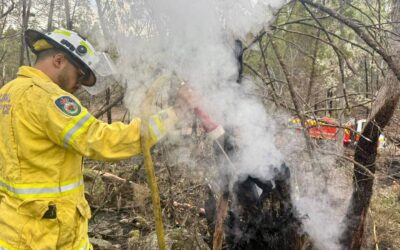 Firefighters Continue Work on Multiple Fires Across the Inverell and Tenterfield Areas