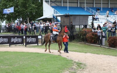 Big Crowd at Holy Trinity Race Day