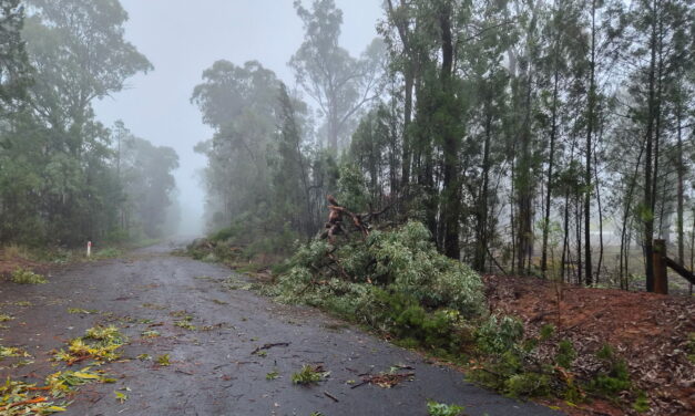 Storms Knock Out Power