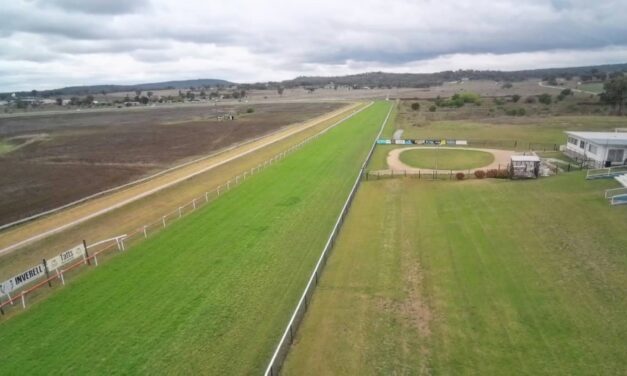 Countdown on to Holy Trinity Race Day