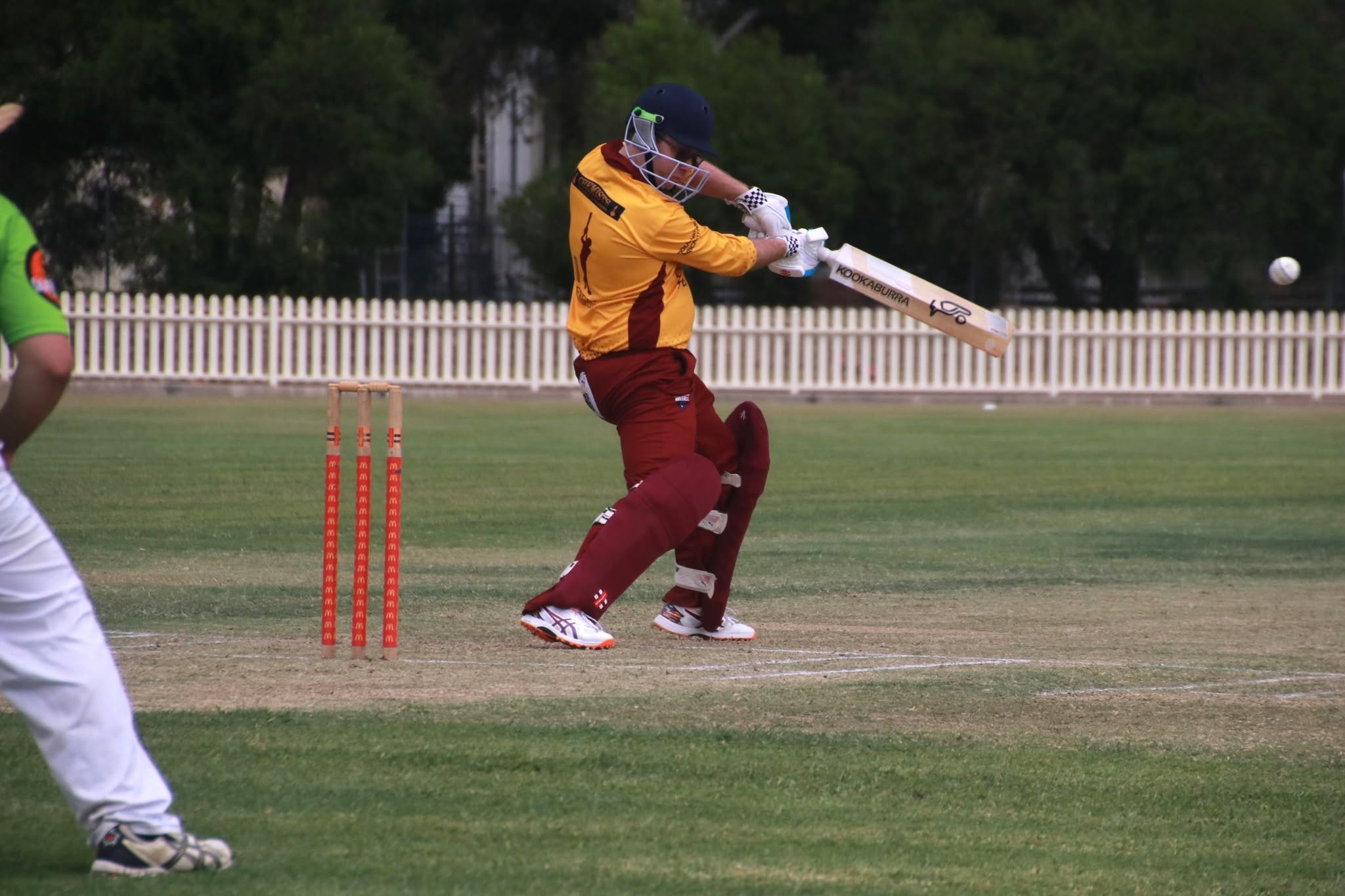 Inverell cricket