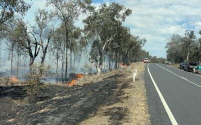 Busy Long Weekend for Firefighters